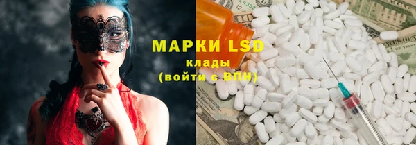 шишки Аркадак