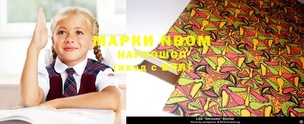 шишки Аркадак