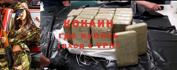 шишки Аркадак