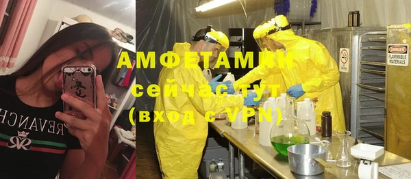 шишки Аркадак