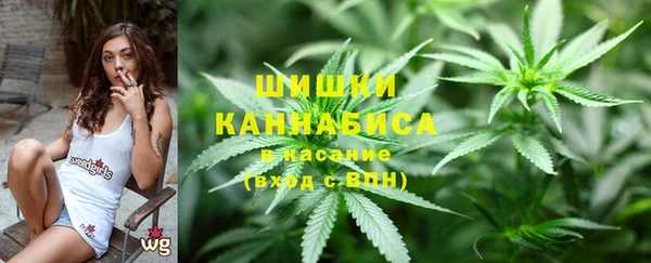 шишки Аркадак