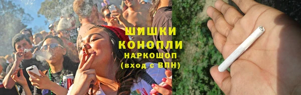 шишки Аркадак