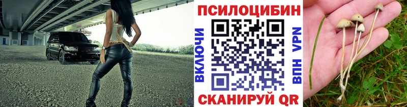 как найти   Северобайкальск  MEGA ссылка  Галлюциногенные грибы Magic Shrooms 